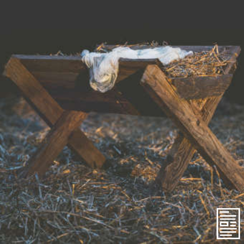 How You Can Thrive and Not Just Survive During This Holiday Season